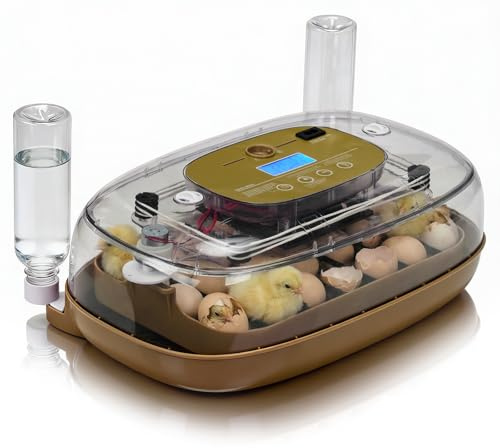 LEADZM Brutautomat Vollautomatisch 24 Eier mit Automatischer Wendefunktion, Brutkasten Hühner mit Temperatur und Feuchtigkeitsregelung, 360°-Rundumsicht für Hühner Enten Gänse Wachteln