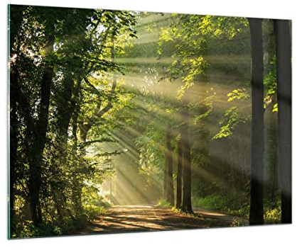 ARTTOR Glasbild 100x70cm Wandbild Glasdruck Landschaften Wald - 3661 | Baum Natur Groß Modern Dekoration Wohnzimmer Schlafzimmer Küche Wanddeko Kunstdruck Art Wall Decor ARTTOR