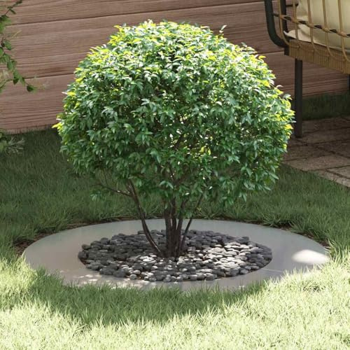 Pflanzbeet, Stabil Frühbeet, Flacher Baumring Silber Ø50 / 80 cm Verzinkter Stahl Für Dachgarten Terrasse Balkon Gartencenter