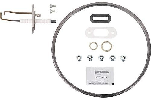 Vaillant Juego de juntas de electrodo Wart.set II Vaillant n.º 0020218247