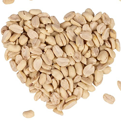 Lyra Pet® | 25 kg Erdnusskerne Splits | HK Argentinien | Geschälte, Halbe Erdnüsse | Gourmetsnack für Wildvögel | Vogel Streufutter | Für alle Körnerfresser | Proteinreiche Energiequelle für Vögel