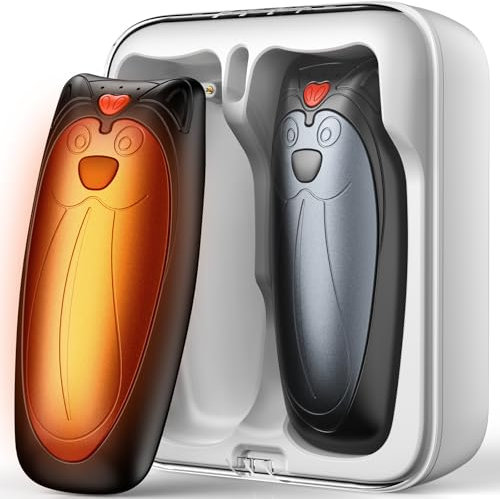 Zgrmbo Handwärmer Elektrisch 2er-Pack mit 10000-mAh-Ladekoffer (bis zu 90 Stunden Akkulaufzeit), Handwärmer Wiederverwendbar, Schwarz