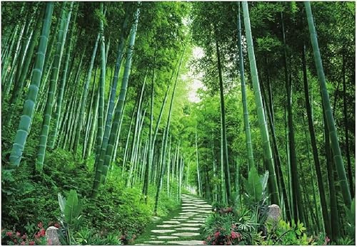 Fotomurales Decorativos Pared Bambú 300x210 cm Papel Pintado Tejido No Tejido Paisaje de Bosque Verde Fotomural 3D Mural Paredes Papel Tapiz Decoración Salón o Dormitorio a-9868