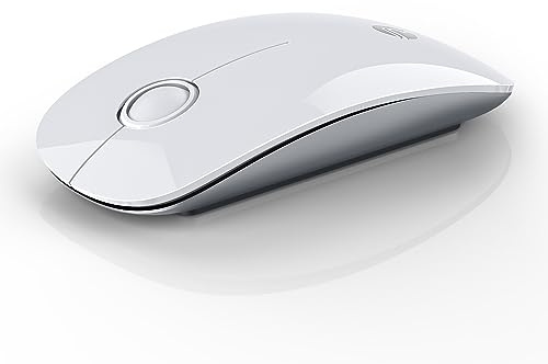 RAPIQUE Bluetooth Wireless Mouse - (BT5.1+USB) Slim Dual Mode Computer Mice with Quiet Click, Low Power, and 1600 DPI, Portable Cordless for MacBook, Laptop, iPad Pro/Air, Chromebook (White)
