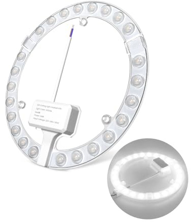 DoRight Modulo ad Anello a LED con Supporto Magnetico 24W Modul LED Plafoniera Bianco Freddo 6000K, ø19,4cm, Set di Conversione per Plafoniere e Applique, Ricambio Della Lampada Fluorescente Circolare