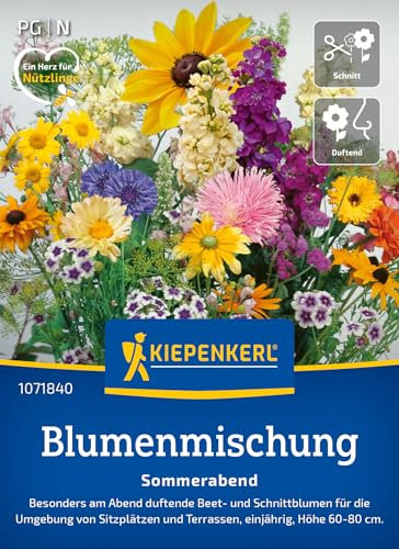Kiepenkerl Blumenmischung Sommerabend 1071840 - einjährige und duftende Beet- und Schnittblumen für Terrassen - circa 60-80cm hoch - Wildblumensamen, Blumenwiese