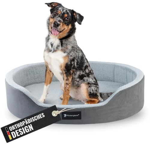 Pfotenglanz Orthopädisches Hundebett Hundekorb mittelgroße Hunde Hundekissen waschbar mit Kaltschaum Matratze in grau. 85x65 cm Hundesofa rutschfest Körbchen Hund Tier Kuschelbett flauschig rund (M)