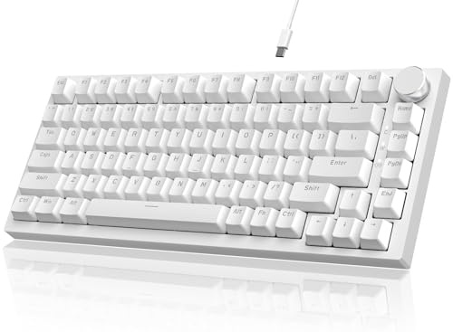 YINDIAO Ajazz AK820 Mekaniskt Tangentbord med Ratt,75% ANSI-Layout,82 Tangenter Trådbundet Speltangentbord,5 Ljudabsorberande Skum,Hot-Swap,Blue Switch, Ice Blue Ljus,för PC,MAC,PS4 (Vit)