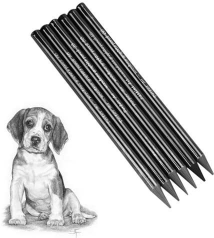 Ccomage 6 Stück Schwarze Graphitstifte holzfrei Bleistifte Set verschiedenen Härtegraden HB 2B 4B 6B 8B EE Bleistift Set Sketch Zeichnung Bleistift für Künstler Erwachsene Zeichnungen Liebhaber