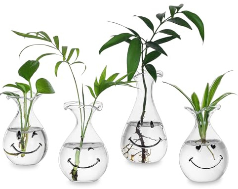 Hewory Smiley Face Glass Planter: 4 PCS Cute Propagation Stations for Hydroponic Plants Cutting Flowers - Clear Terrarium Propgation Vases Jars for Home Office Decor Plant Lover Gifts