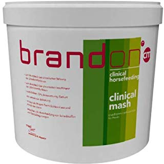 Brandon