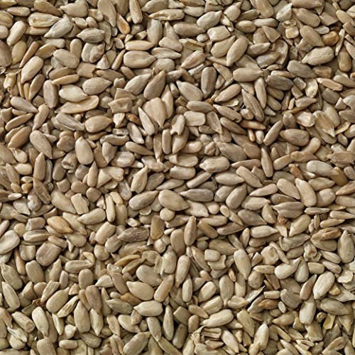 Bird Food - Sunflower Hearts, High in Oil and Energy, No Mess, Great for Hanging Feeders, Bird Tables, and Ground Feeding, Bulk Bag (20kg) - Buzzby’s