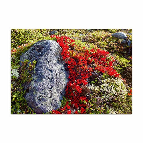 Vero Home 18558 Glas-Schneidebrett | Motiv Natur Blumen | rutschfest, kratzfest und lebensmittelecht | Maße: 39 x 29 cm