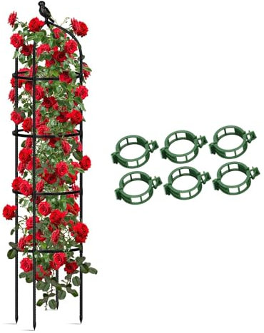 Garden Obelisco Supporto Piante Rampicanti, Traliccio in Metallo antiruggine Interni Fiori all'aperto Verdure Frutta Rimovibile Grigliato a Colonna Piante Vaso 65~205cm(Nero,36x85cm)
