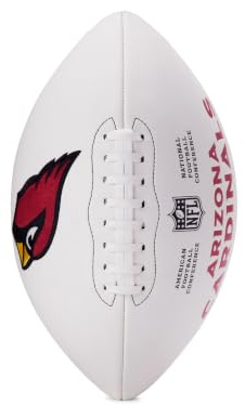 Wilson NFL Logo Autograph Football