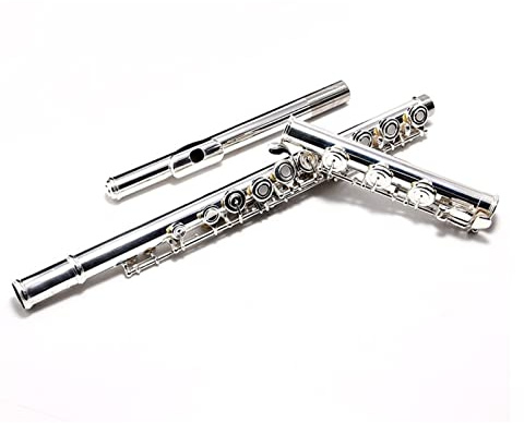 Zengxue Querflöte Anfänger 17 Offenes Loch Sterling Silber Mundstück Flöten Instrument