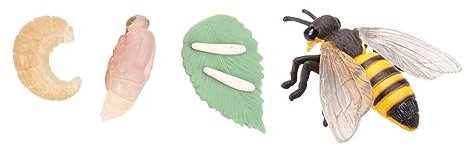 COSMEVIVI Tier Wachstumsmodell Spielzeugmodellset Simulation Tier Ornamente Pädagogisch Tierausstellungsmodelle Partydekorationen Zuhause Dekoration Hotel Requisit