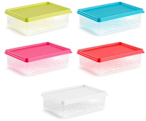 Acan Tradineur - Pack de 5 fiambreras rectangulares de plástico con rejilla - Modelo Fresh - 1 Litro - Apto para microondas, congelador y lavavajillas - Fabricado en España - 21 x 13,5 x 6 cm