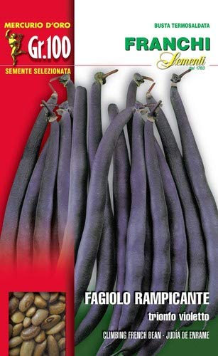 Franchi sementi semi di fagioli e fagiolini nani e rampicanti in confezioni varie (rampicante trionfo violetto, 100 grammi)