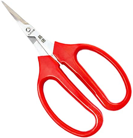 Abaodam 2 Pezzi Forbici di frutta e verdura strumento per disporre i fiori taglio di fiori articoli per il giardinaggio strumento per la disposizione dei fiori Acciaio inossidabile