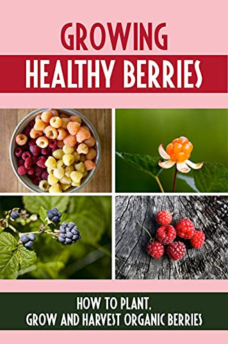 Growing Healthy Berries: How To Plant, Grow And Harvest Organic Berries: Growing Berries In Containers Guide
