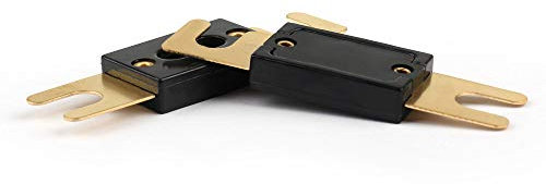BIRGI Sicherung 30A-500A AMP ANL Typ vergoldete Flachsicherungen for Auto-Auto-Stereo-Audio Großhandel 2PCS Sicherungen Stecker (Size : 100A)