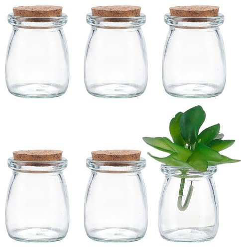 WADORN 6 mini Bouteille en Verre 100 ml Bouchon en Liège Bouteilles de Souhaits en Verre Transparent de 3.38 oz Petits Bocaux en Verre Vides Couvercle en Liège en Bois pour Fête Mariage Cadeaux