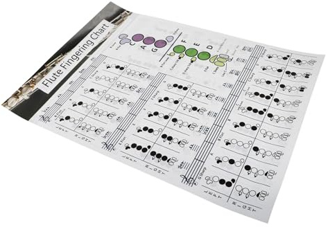 Flöten Diagramm für Anfänger als Lernhilfe und Übungsleitfaden | Akkordtabelle zum Üben Beschichtetem Papier, Großes Posterformat, für Flöten Einsteiger im Musikunterricht