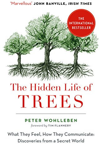 The Hidden Life of Trees: The International Bestseller