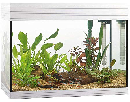Askoll Aa350049 Acuario Pure Blanco, L, Blanco