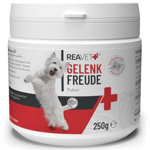 ReaVET Poudre articulaire pour Chien 250g - Complexe articulaire Naturel mobilité & vitalité I après arthrose traitée, Poudre de moules à lèvres Vertes, Griffe du Diable