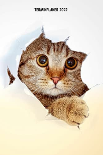 Terminplaner 2022: Witziger Katzen Design Jahresplaner und Kalender von Januar bis Dezember 2022 mit Ferien, Feiertagen und Monatsübersicht - Organizer und Zeitplaner für 1 Jahr