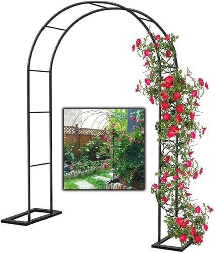 MISKYN Arco for Plantas De Metal for Rosal Trepador, Marco De Soporte De Jardín con Base, Arco Jardin Exterior, Negro 140X230cm 180X230cm 300X230cm,Negro,W3M*H2.2M