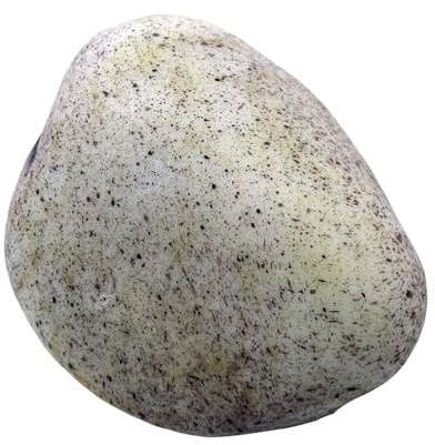 MEAKTSMI Llave de piedra realista, soporte de piedra falso seguro, compartimento secreto, llave de jardín, caja de almacenamiento de llaves para exteriores, realista