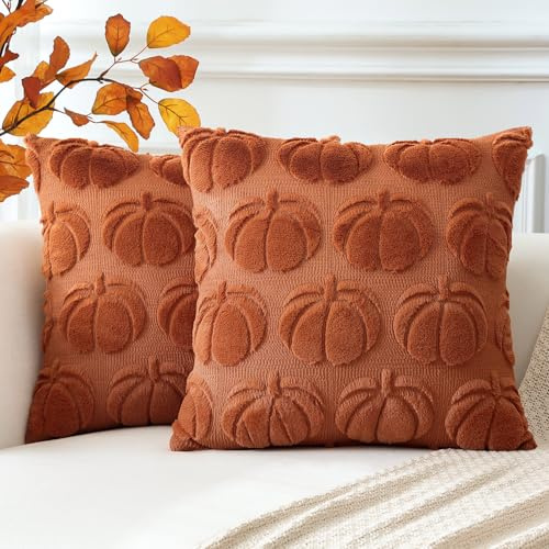 Artscope 2er Set Wolle Kürbis Kissenbezüge Weicher Plüsch Kurzer Wollsamt Dekokissenbezüge Herbst Kissenhülle Sofakissen Herbstdeko für Sofa Schlafzimmer Halloween Karamell Orange, 50x50cm