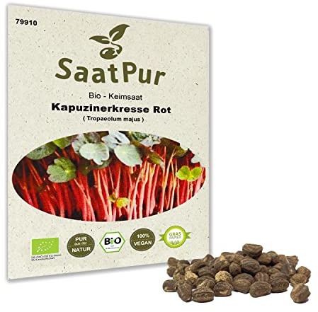 SaatPur Bio Sprossen Samen Kapuzinerkresse Rot - Wasabi Kresse - 100% Bio Keimsprossen - Microgreens mit hoher Keimkraft - Sprossensamen für Sprossenglas & Keimschale