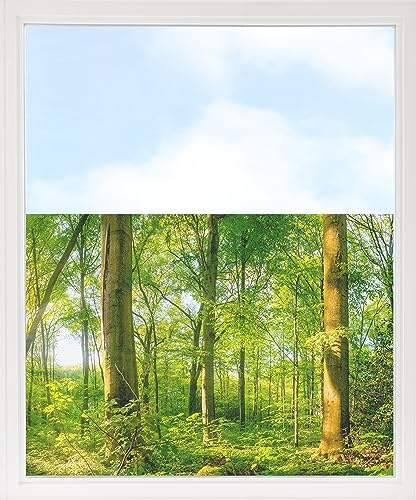 GRAZDesign Fensterfolie Blickdicht Sichtschutz, Sichtschutzfolie Fenster, Glastüren, Duschkabine, Milchglasfolie Bedruckt mit Motiv Wald 80x57cm