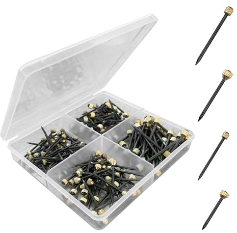 Set Di 160 Chiodi Per Quadri Muro,Chiodi Per Quadri In Ottone, Con Contenitore Per Unghie, Per Cornici, Bacheche, Tela (Lunghezza 23 mm 26mm 27 mm 35mm)