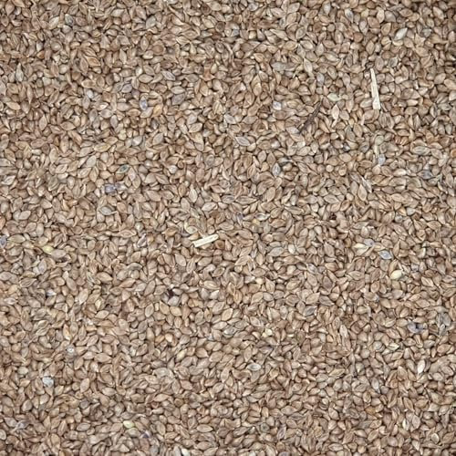 Hirse Japan - Gladen 2,5kg - Vogelfutter Taubenfutter Tierfutter