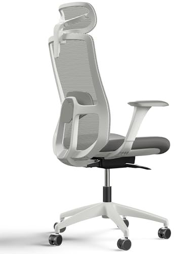 Desktronic Verstellbarer ergonomischer Bürostuhl | Schreibtischstuhl mit Lendenwirbelstütze, Höhenverstellung Körper Atmungsaktives Gewebe-Breite Sitzfläche SitOne Grau