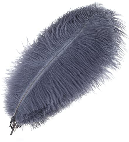 MWOOT 10 Stück Natürliche Straußenfedern, Strauß Feder Plume für Hochzeit Party Fest Tisch Herzstück Dekoration (Schwarz, 25-30 cm) (Grau)