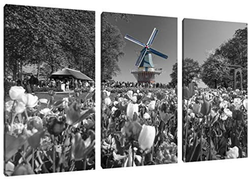 Pixxprint Holländisches Tulpenmeer vor Windmühle B&W Detail, Leinwandbild 3 Teilig, Gesamtmaß: 120x80cm, Wandbild, Dekoration, fertig gespannt, Kein Poster