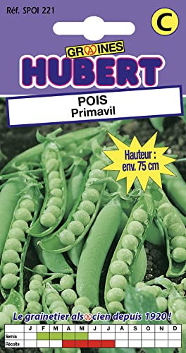 50 Graines de Pois Primavil - Format Petit Jardin