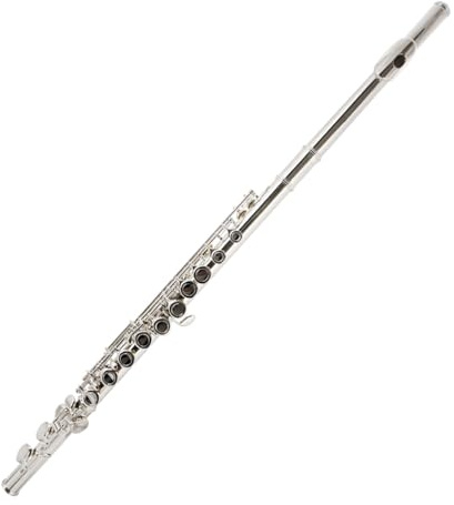 Querflöte Instrument 16-Loch-Silberflöte Mit Geschlossenem Loch Für Anfänger C-Tasten-Flöte