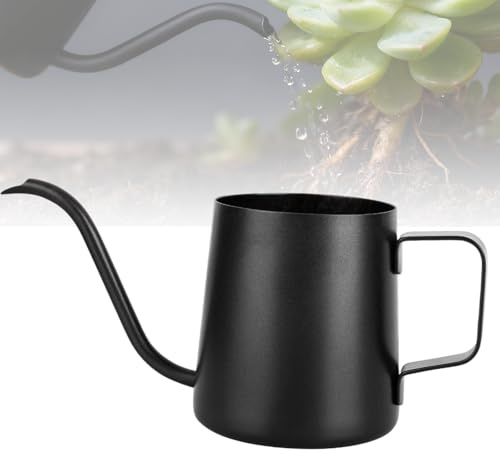 HAPPOW 350ml Gießkanne Mini, Giesskanne Zimmerpflanzen, kleine Gießkanne aus Edelstahl, Lange Düse, Einfach zu Bedienen, für Zimmerpflanzen Sukkulenten