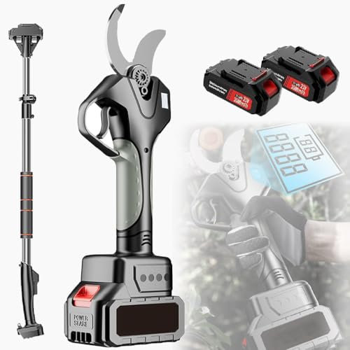 ZJHESXV Sécateur électrique sans Fil Professionnel avec Perche d'extension, écran LCD, sécateur d'arbres de 45 mm pour Le Jardinage, Coupe-Branches d'extérieur Rechargeable, avec Perche