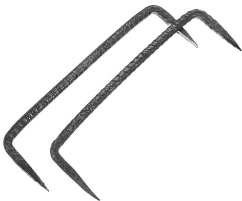 ROMISBABA Chiodi a Punta Per Fissaggio Pesante 2 Pezzi Chiodi Per Lavorazione Del Legno Resistenti Deformazione Doppia Punta Per Recinzioni e Costruzioni