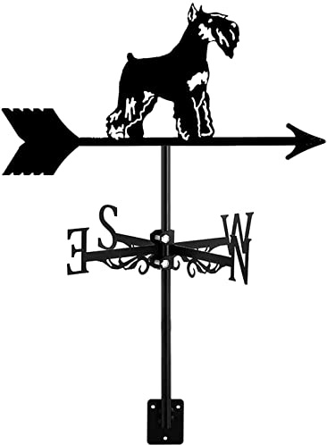 Banderuola segnavento per animali, banderuola segnavento per cani in acciaio inox, accessori decorativi per giardino, indicatore di direzione, strumento di misurazione, installazione sul tetto