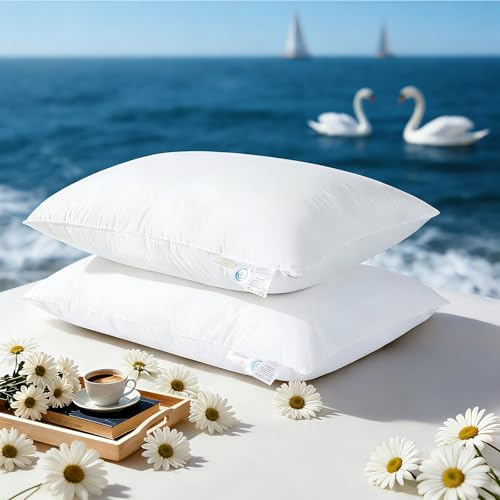 LIANLAM Luxury Goose Feather Down Pillows Queen Size Set of 2, 3-Chamber 5 Star Hotel Pillow for Neck Pain Relief, Soft Bed Pillows for Deep Sleep, Perfect for Side, Back Sleepers - 20x30