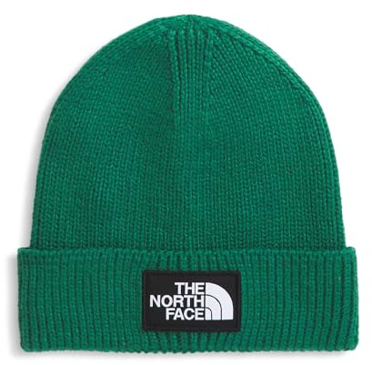 CAPPELLO THE NORTH FACE NF0A8CHENL11 TNF LOGO BOX EVERGR